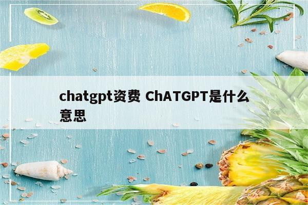 chatgpt资费 ChATGPT是什么意思