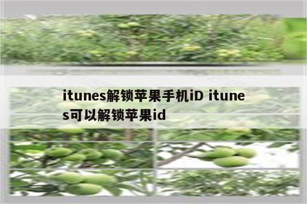 itunes解锁苹果手机iD itunes可以解锁苹果id