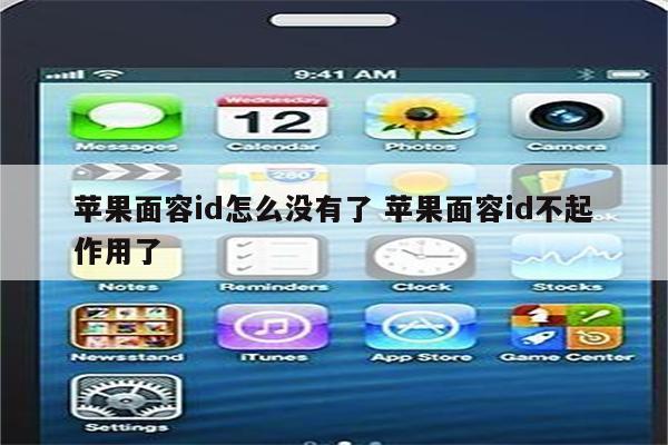 苹果面容id怎么没有了 苹果面容id不起作用了