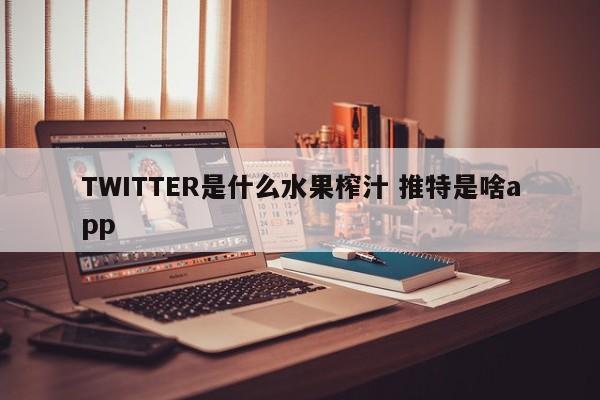 TWITTER是什么水果榨汁 推特是啥app