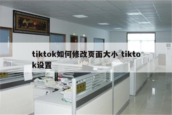 tiktok如何修改页面大小 tiktok设置