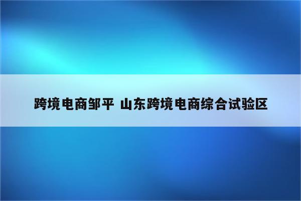 跨境电商邹平 山东跨境电商综合试验区