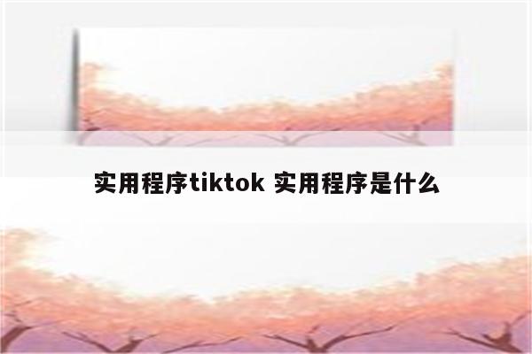 实用程序tiktok 实用程序是什么