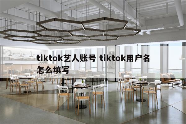 tiktok艺人账号 tiktok用户名怎么填写