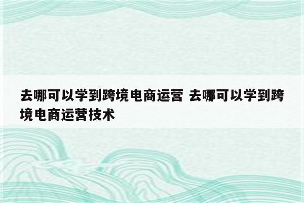 去哪可以学到跨境电商运营 去哪可以学到跨境电商运营技术