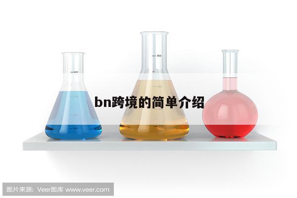 bn跨境的简单介绍