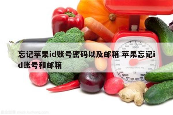 忘记苹果id账号密码以及邮箱 苹果忘记id账号和邮箱