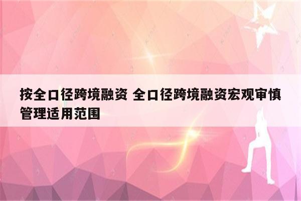 按全口径跨境融资 全口径跨境融资宏观审慎管理适用范围