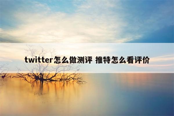 twitter怎么做测评 推特怎么看评价