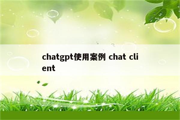 chatgpt使用案例 chat client