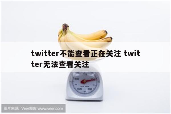 twitter不能查看正在关注 twitter无法查看关注