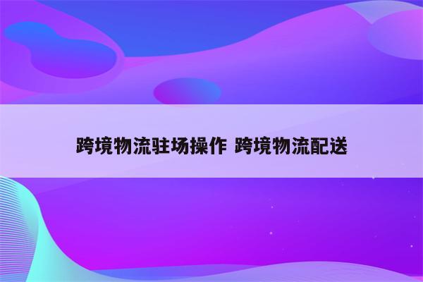 跨境物流驻场操作 跨境物流配送