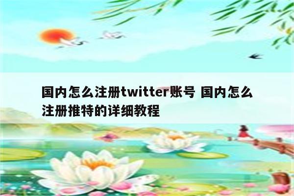 国内怎么注册twitter账号 国内怎么注册推特的详细教程