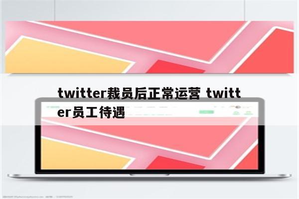 twitter裁员后正常运营 twitter员工待遇