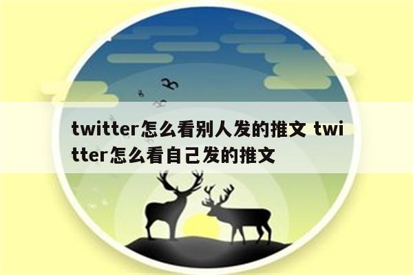 twitter怎么看别人发的推文 twitter怎么看自己发的推文