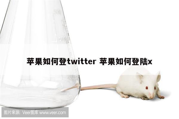 苹果如何登twitter 苹果如何登陆x