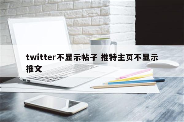 twitter不显示帖子 推特主页不显示推文