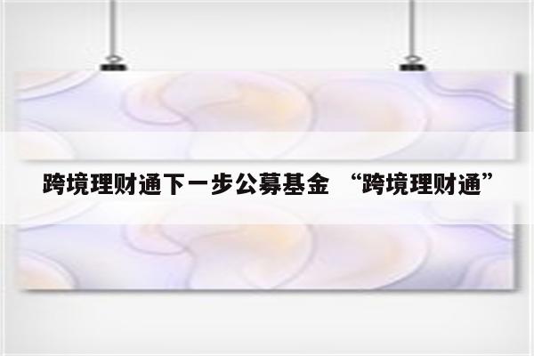 跨境理财通下一步公募基金 “跨境理财通”