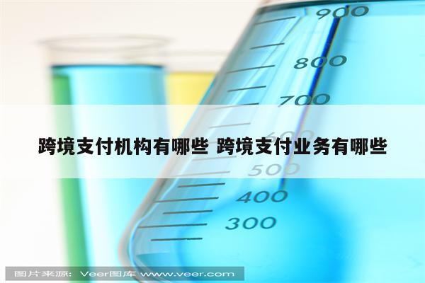 跨境支付机构有哪些 跨境支付业务有哪些