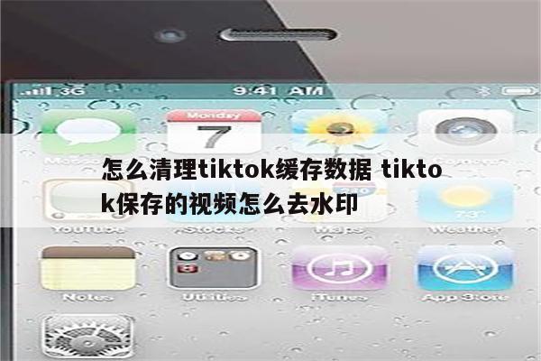 怎么清理tiktok缓存数据 tiktok保存的视频怎么去水印