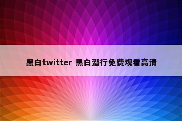 黑白twitter 黑白潜行免费观看高清