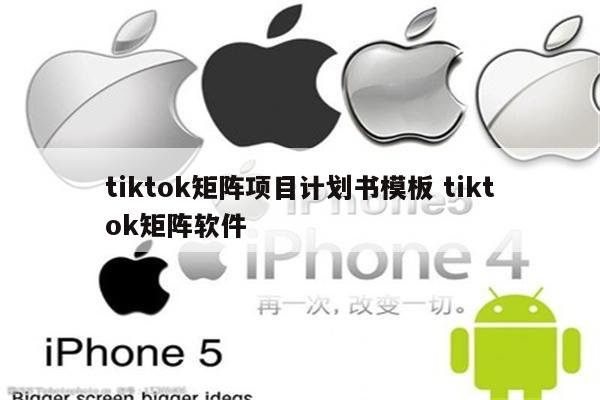 tiktok矩阵项目计划书模板 tiktok矩阵软件