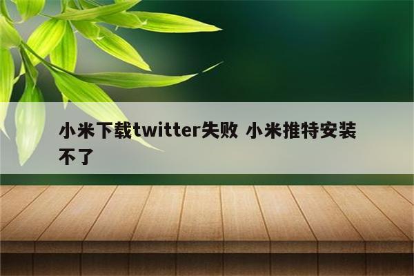 小米下载twitter失败 小米推特安装不了