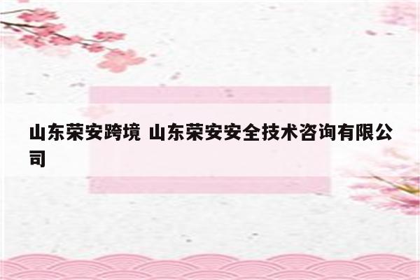 山东荣安跨境 山东荣安安全技术咨询有限公司