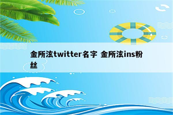 金所泫twitter名字 金所泫ins粉丝