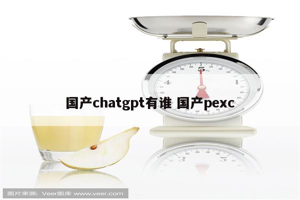 国产chatgpt有谁 国产pexc