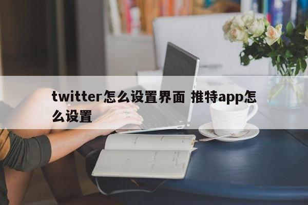 twitter怎么设置界面 推特app怎么设置