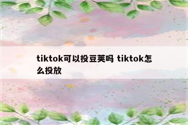 tiktok可以投豆荚吗 tiktok怎么投放