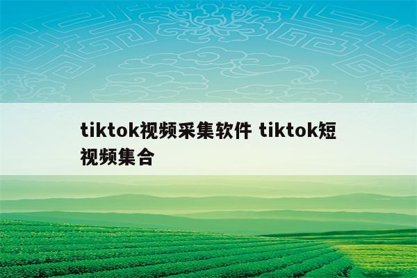 tiktok视频采集软件 tiktok短视频集合