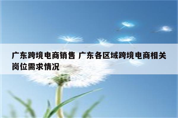 广东跨境电商销售 广东各区域跨境电商相关岗位需求情况