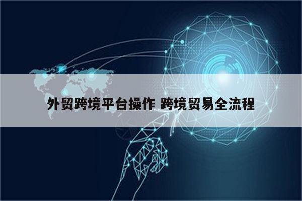 外贸跨境平台操作 跨境贸易全流程