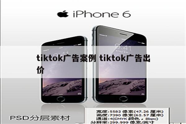 tiktok广告案例 tiktok广告出价