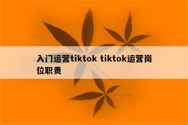 入门运营tiktok tiktok运营岗位职责
