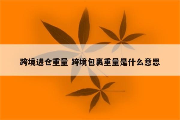 跨境进仓重量 跨境包裹重量是什么意思