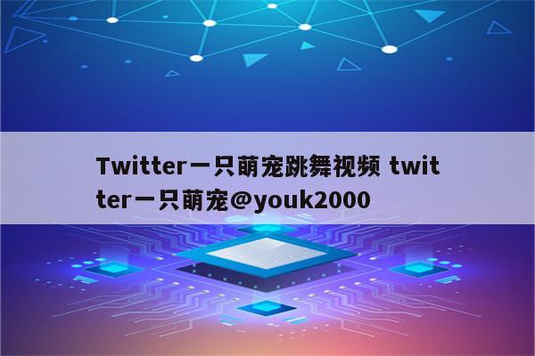 Twitter一只萌宠跳舞视频 twitter一只萌宠@youk2000