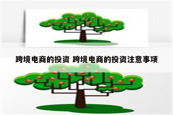 跨境电商的投资 跨境电商的投资注意事项