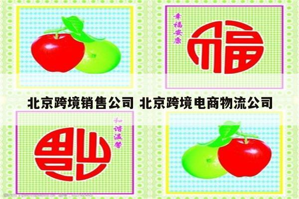 北京跨境销售公司 北京跨境电商物流公司