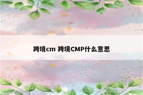 跨境cm 跨境CMP什么意思