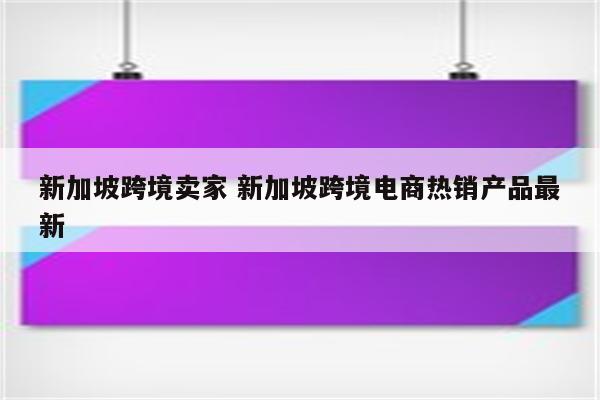 新加坡跨境卖家 新加坡跨境电商热销产品最新