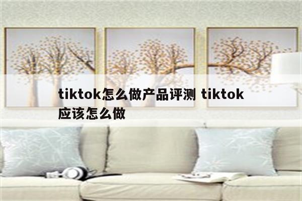 tiktok怎么做产品评测 tiktok应该怎么做