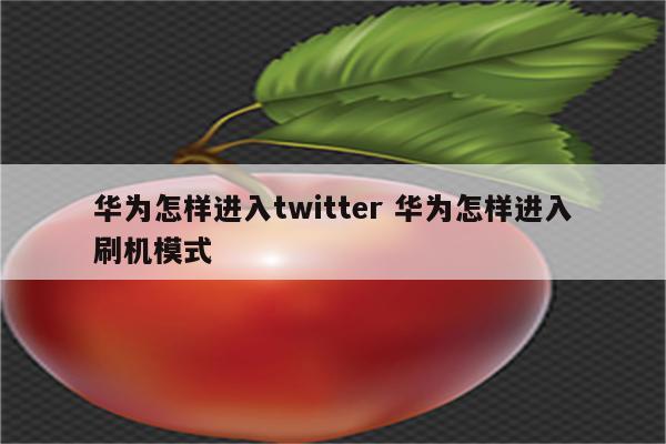 华为怎样进入twitter 华为怎样进入刷机模式
