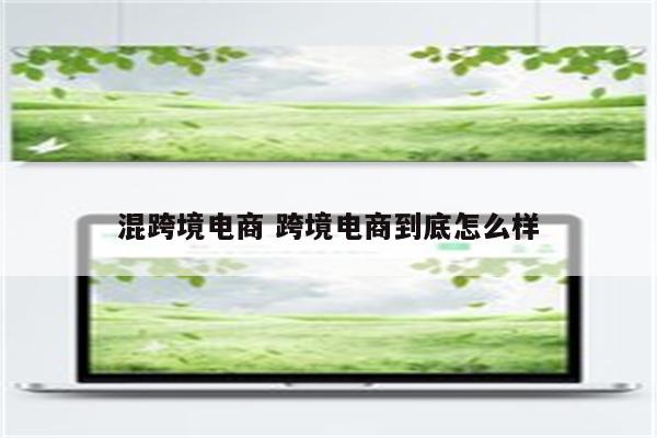 混跨境电商 跨境电商到底怎么样