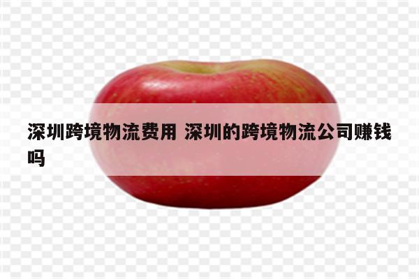 深圳跨境物流费用 深圳的跨境物流公司赚钱吗