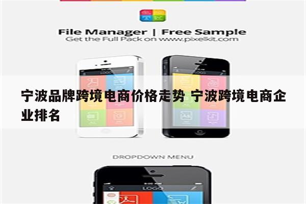 宁波品牌跨境电商价格走势 宁波跨境电商企业排名