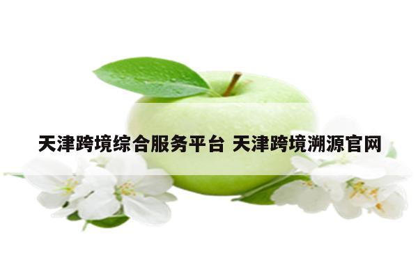天津跨境综合服务平台 天津跨境溯源官网