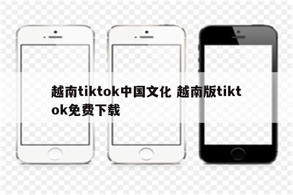 越南tiktok中国文化 越南版tiktok免费下载